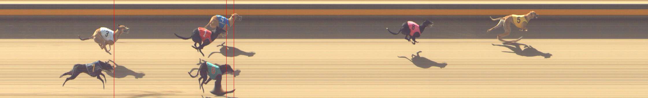 Photo finish for Shepparton Race 4