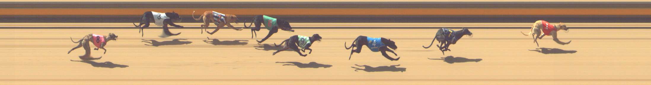 Photo finish for Shepparton Race 10