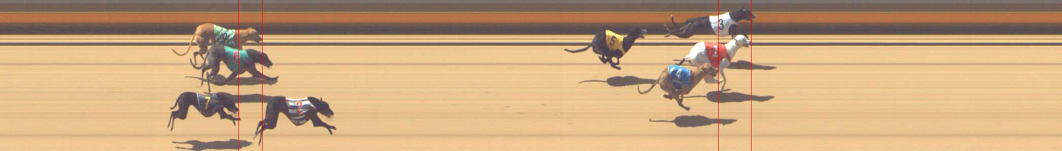 Photo finish for Shepparton Race 11