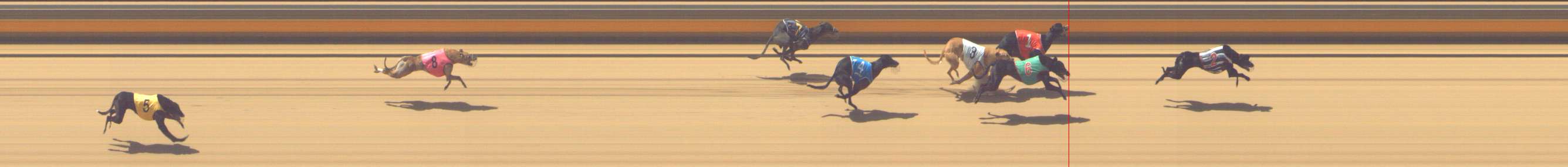 Photo finish for Shepparton Race 12