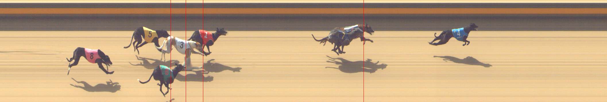 Photo finish for Shepparton Race 6