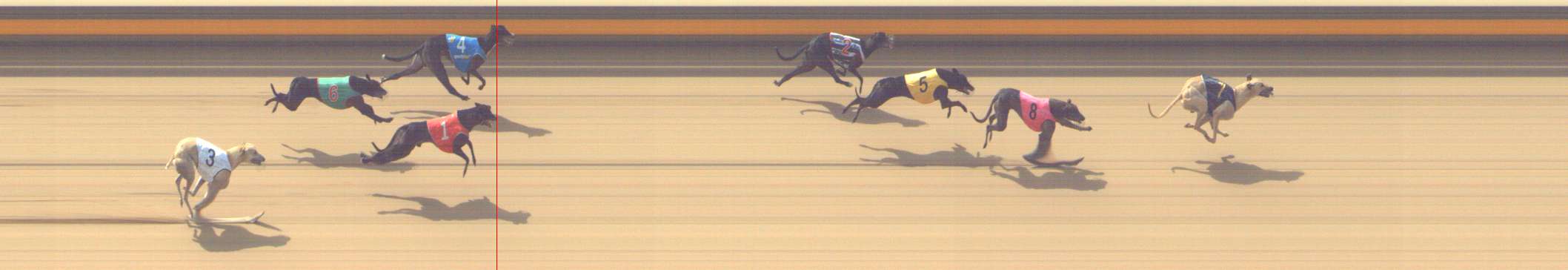 Photo finish for Shepparton Race 7