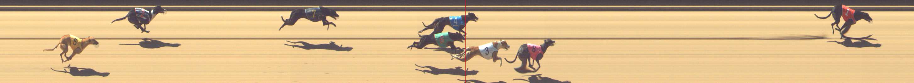 Photo finish for Shepparton Race 1