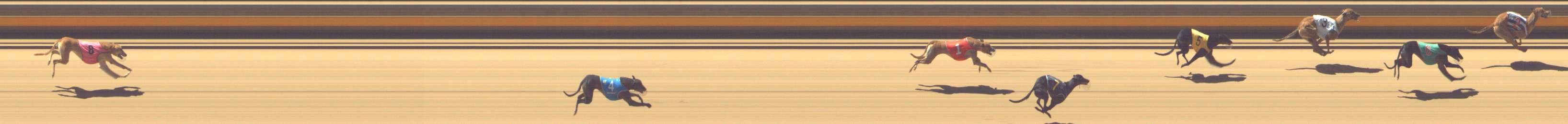 Photo finish for Shepparton Race 3