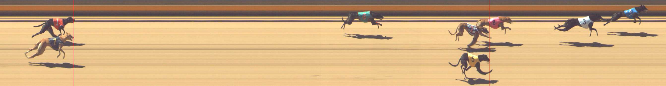 Photo finish for Shepparton Race 4