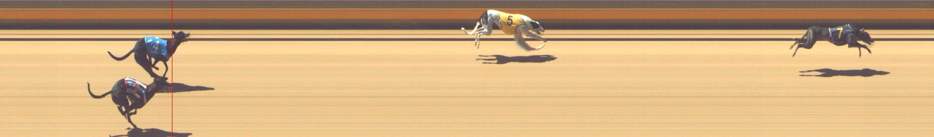 Photo finish for Shepparton Race 5