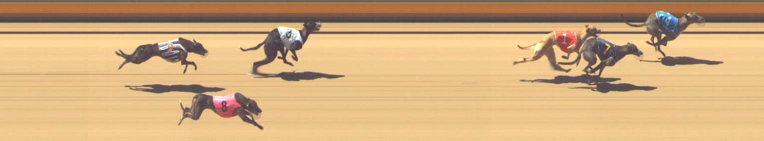 Photo finish for Shepparton Race 6