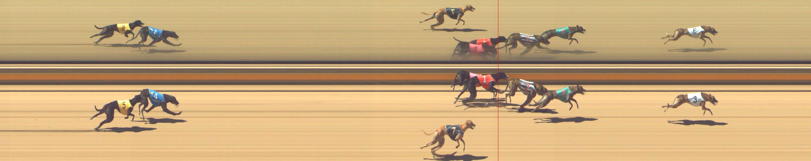 Photo finish for Shepparton Race 7
