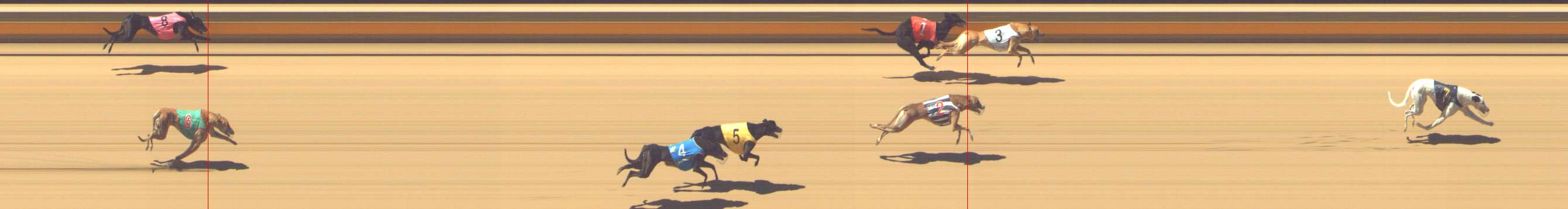 Photo finish for Shepparton Race 8