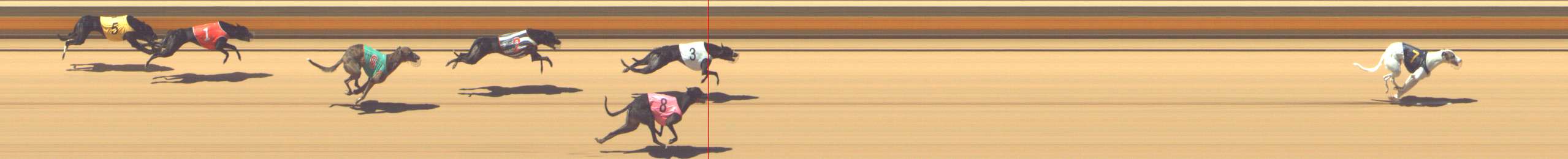 Photo finish for Shepparton Race 9
