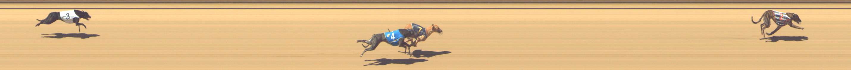 Photo finish for Shepparton Race 10
