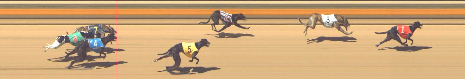 Photo finish for Shepparton Race 11