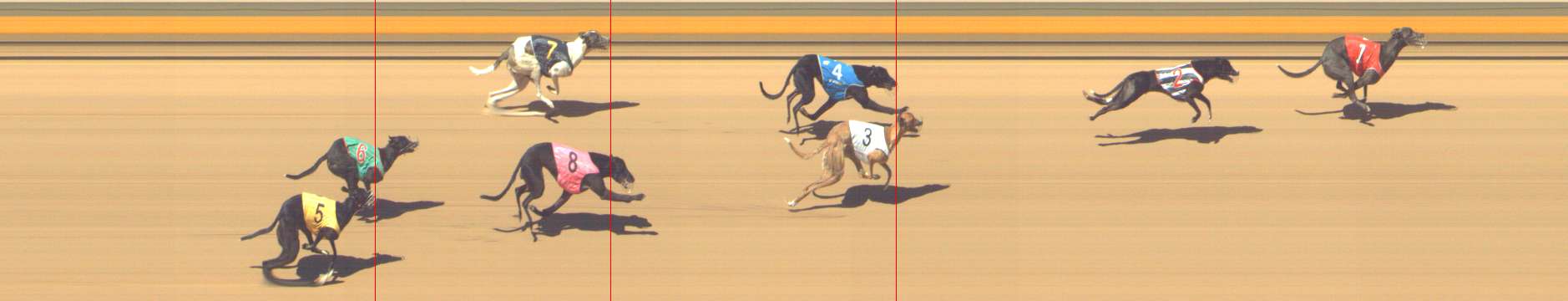 Photo finish for Shepparton Race 12