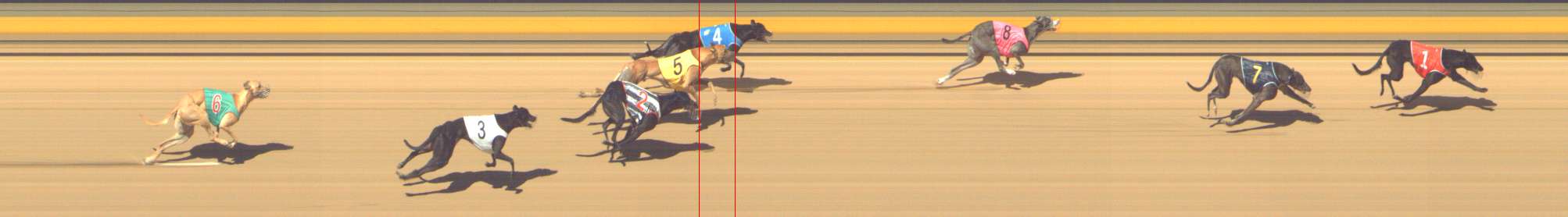 Photo finish for Shepparton Race 13