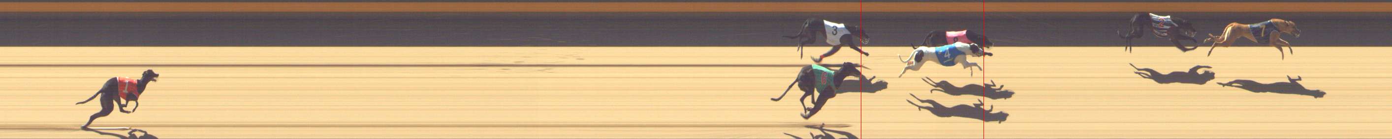 Photo finish for Shepparton Race 3