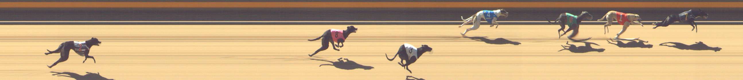 Photo finish for Shepparton Race 5