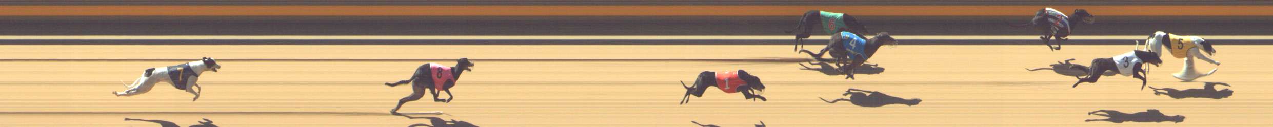 Photo finish for Shepparton Race 6