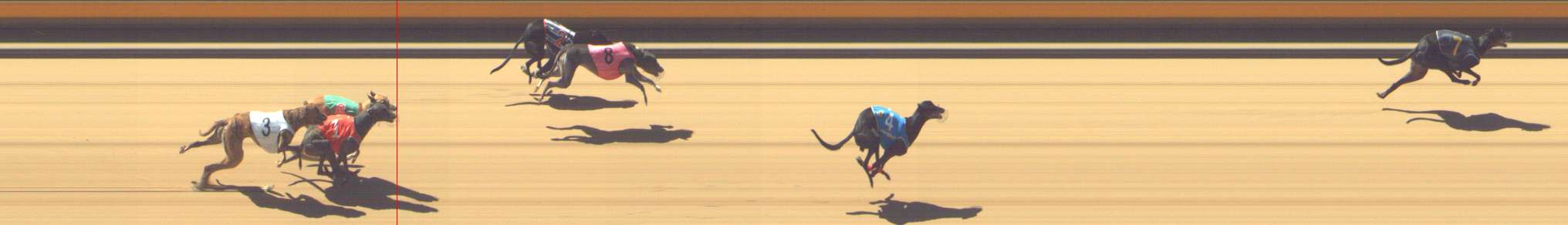 Photo finish for Shepparton Race 7