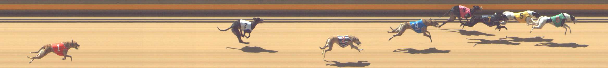 Photo finish for Shepparton Race 8