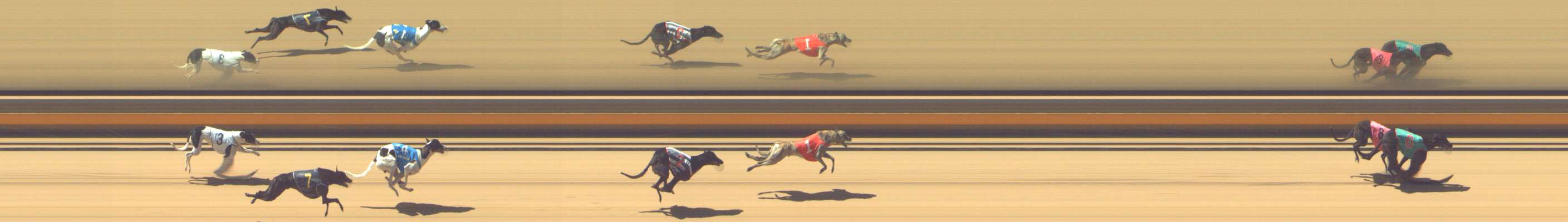 Photo finish for Shepparton Race 9