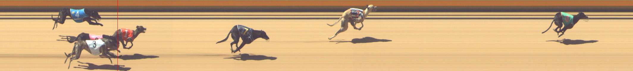 Photo finish for Shepparton Race 10
