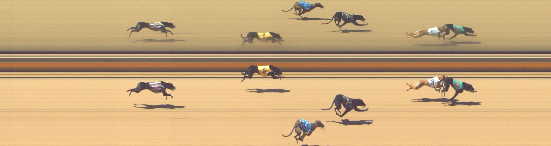 Photo finish for Shepparton Race 11
