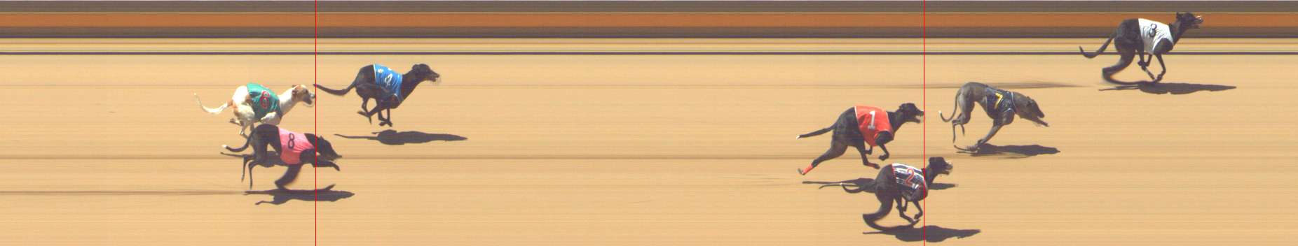 Photo finish for Shepparton Race 12