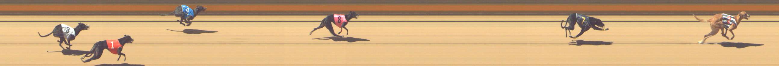 Photo finish for Shepparton Race 13