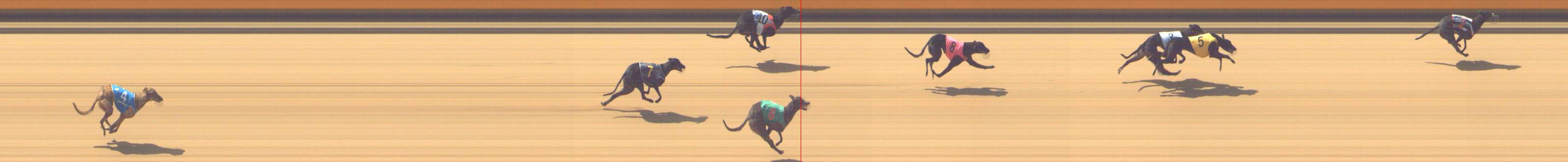 Photo finish for Shepparton Race 1