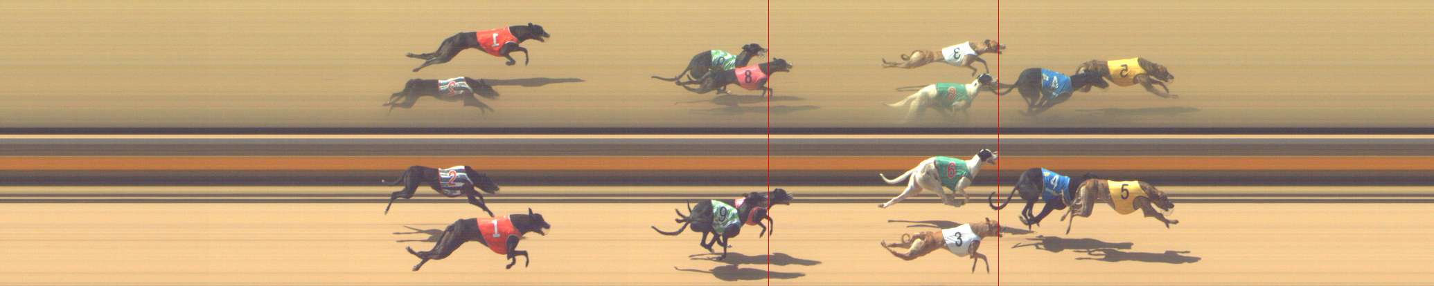 Photo finish for Shepparton Race 2