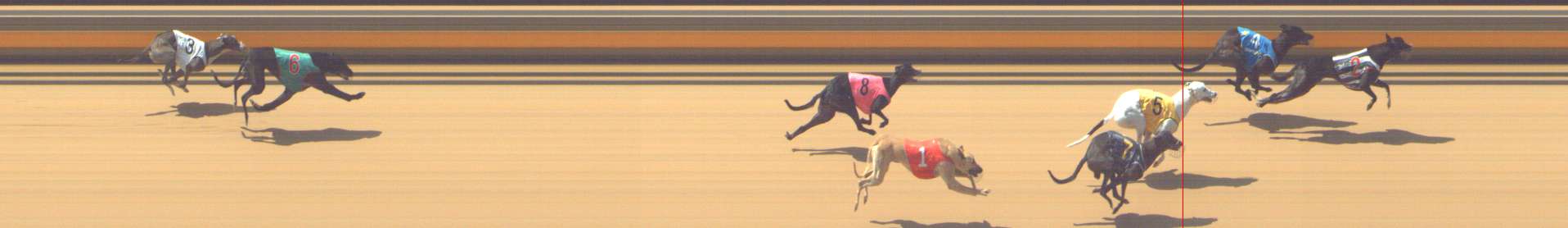 Photo finish for Shepparton Race 3