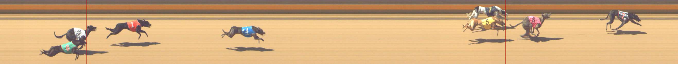 Photo finish for Shepparton Race 6