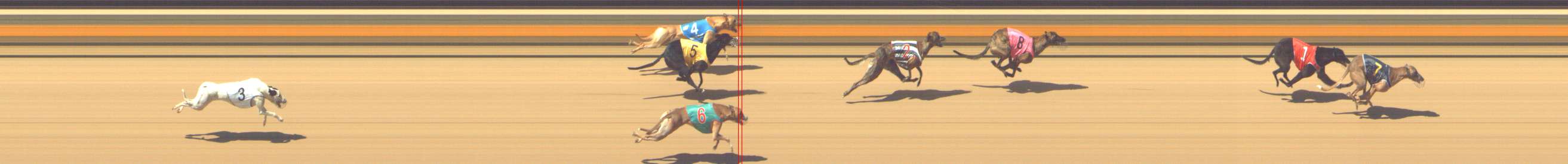 Photo finish for Shepparton Race 8