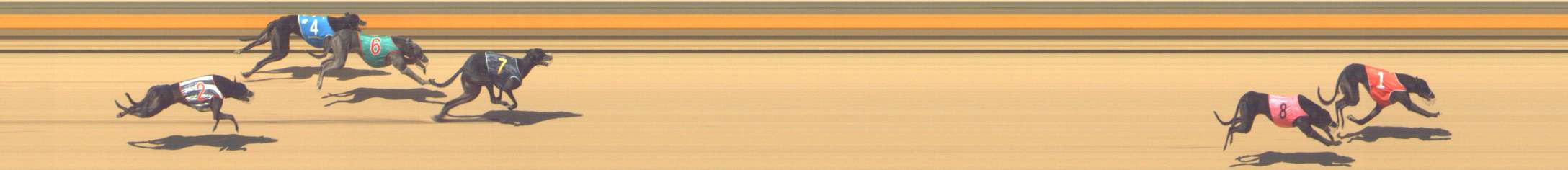 Photo finish for Shepparton Race 9