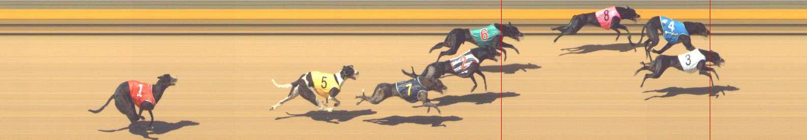 Photo finish for Shepparton Race 10