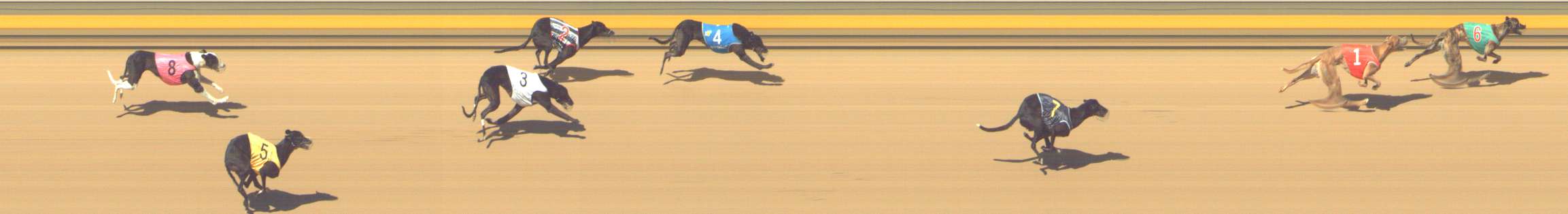 Photo finish for Shepparton Race 11