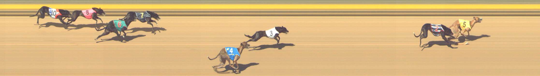Photo finish for Shepparton Race 12