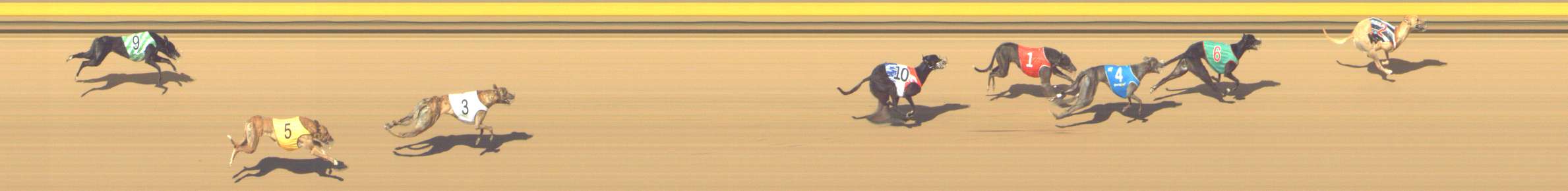 Photo finish for Shepparton Race 13