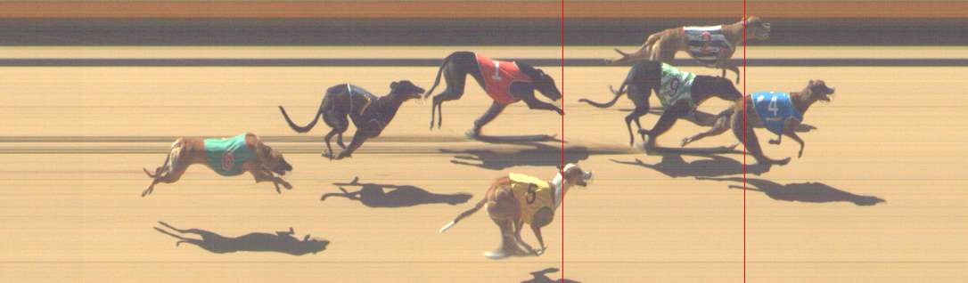 Photo finish for Shepparton Race 1