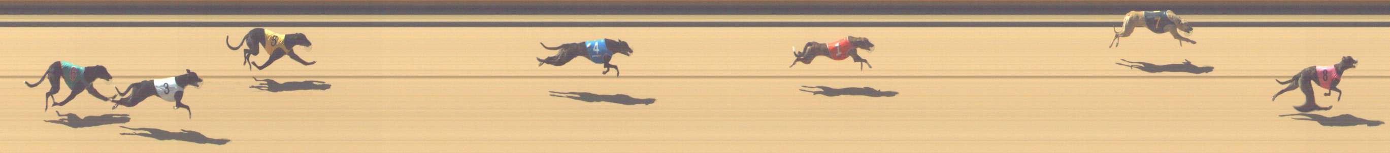 Photo finish for Shepparton Race 2