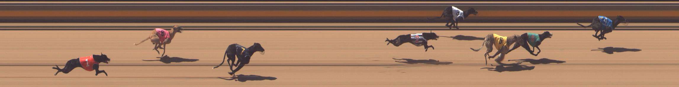 Photo finish for Shepparton Race 4