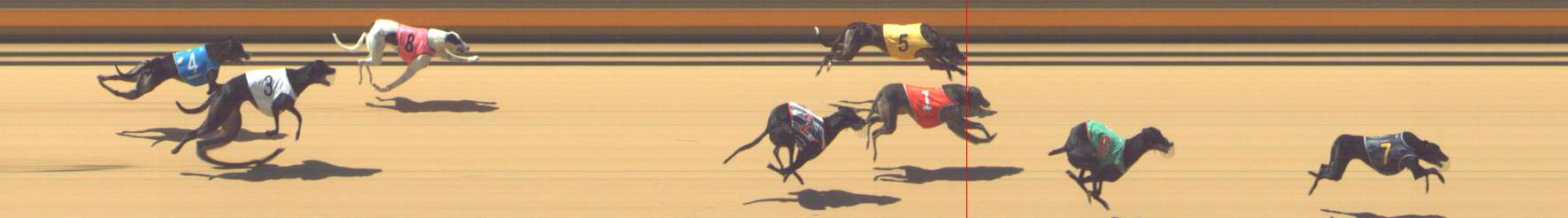 Photo finish for Shepparton Race 5