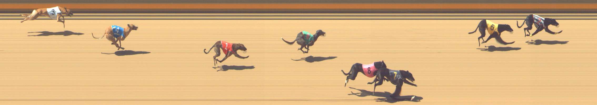 Photo finish for Shepparton Race 6