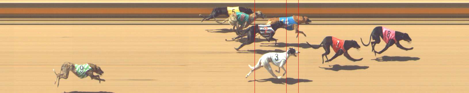 Photo finish for Shepparton Race 7