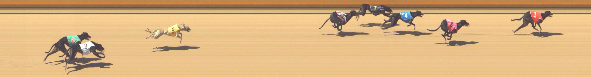 Photo finish for Shepparton Race 8