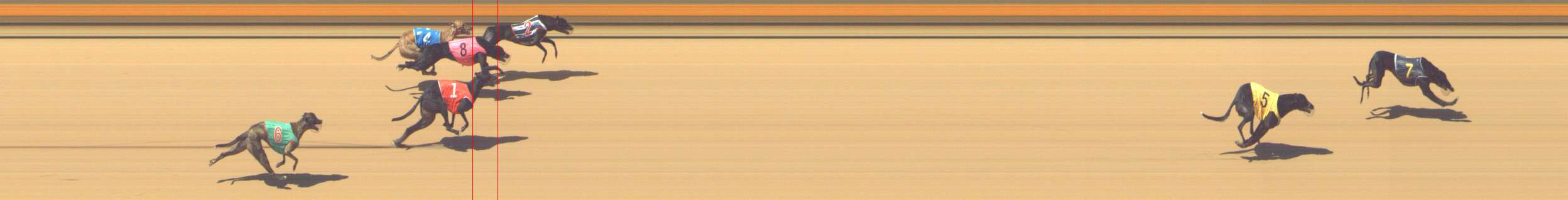 Photo finish for Shepparton Race 9