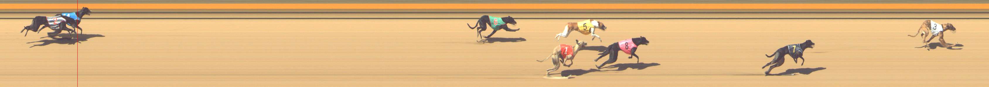 Photo finish for Shepparton Race 10