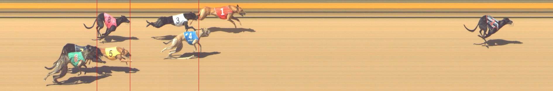 Photo finish for Shepparton Race 11