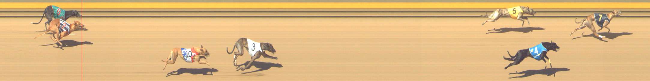 Photo finish for Shepparton Race 12