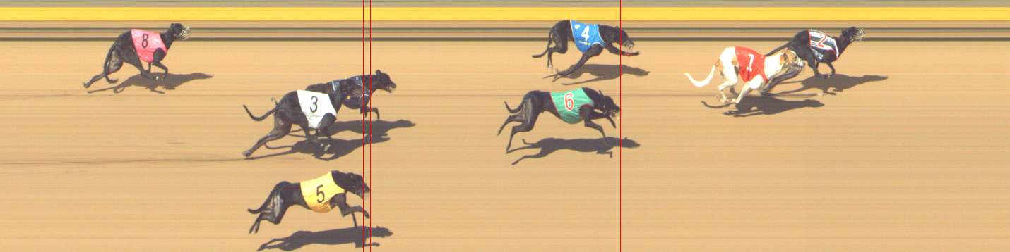 Photo finish for Shepparton Race 13